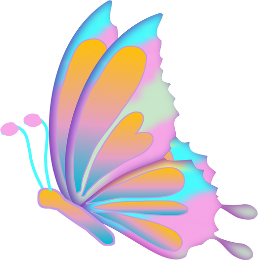 Abstract Rainbow Butterfly