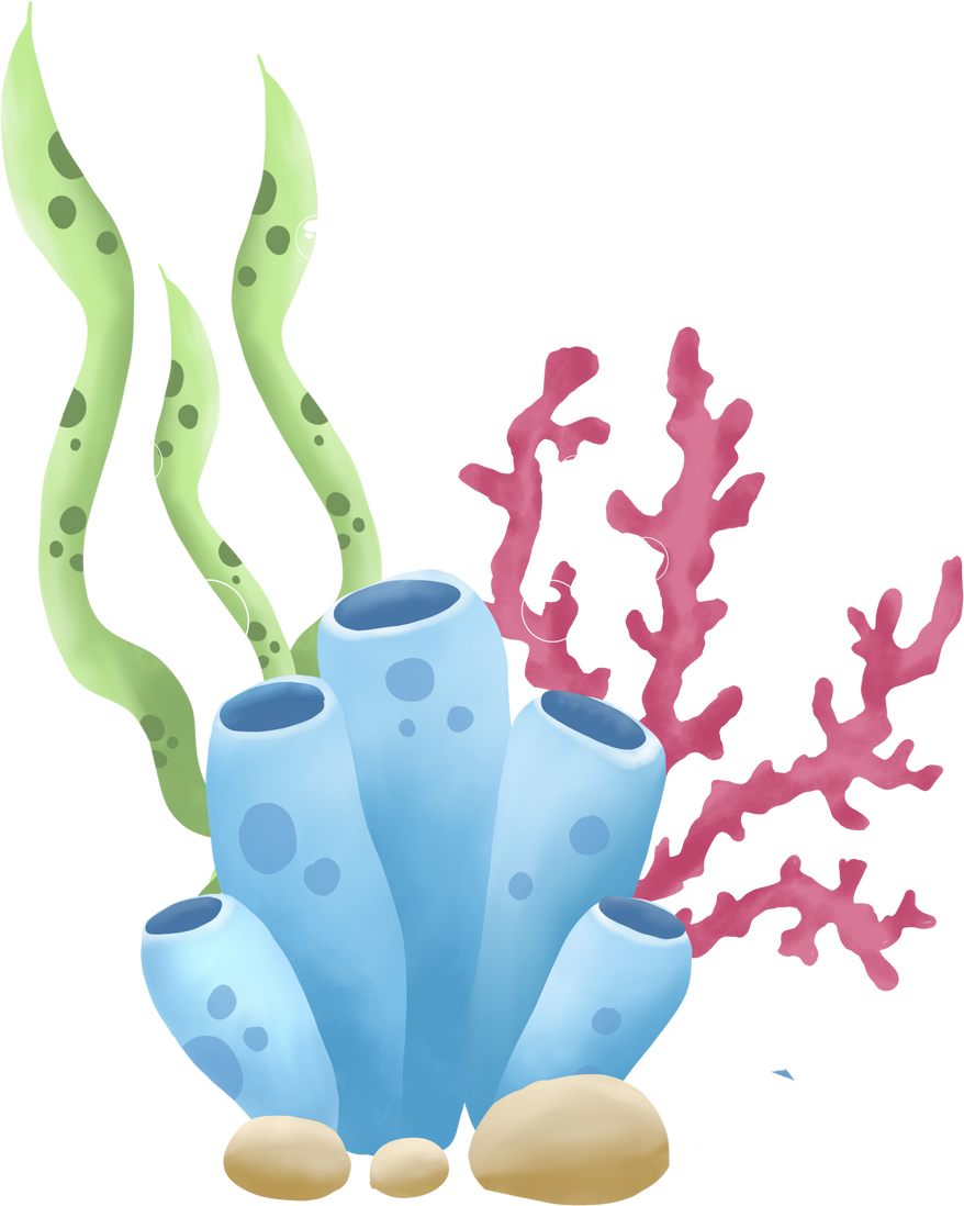 Coral Reef Illustration