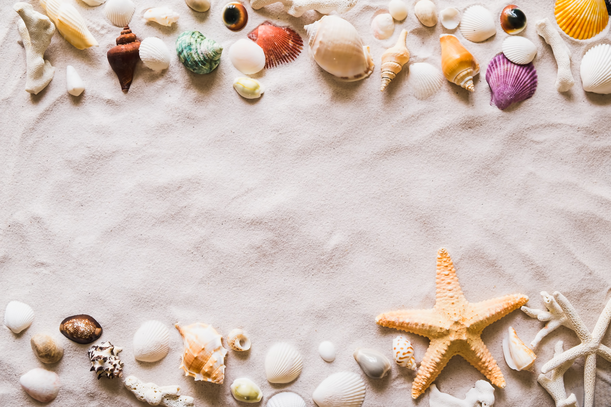 Beach Sand with Seashells and Starfish Background